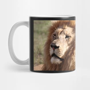 Lion Portrait Mug